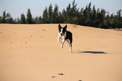 育碧618大促 游戏、周边巨U惠！